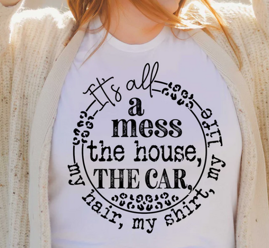 It's all a mess the house, THE CAR, my hair, my shirt, my life design - evrythang and more