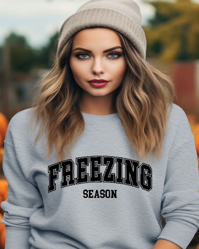 Freezing Season sweatshirt - evrythang and more