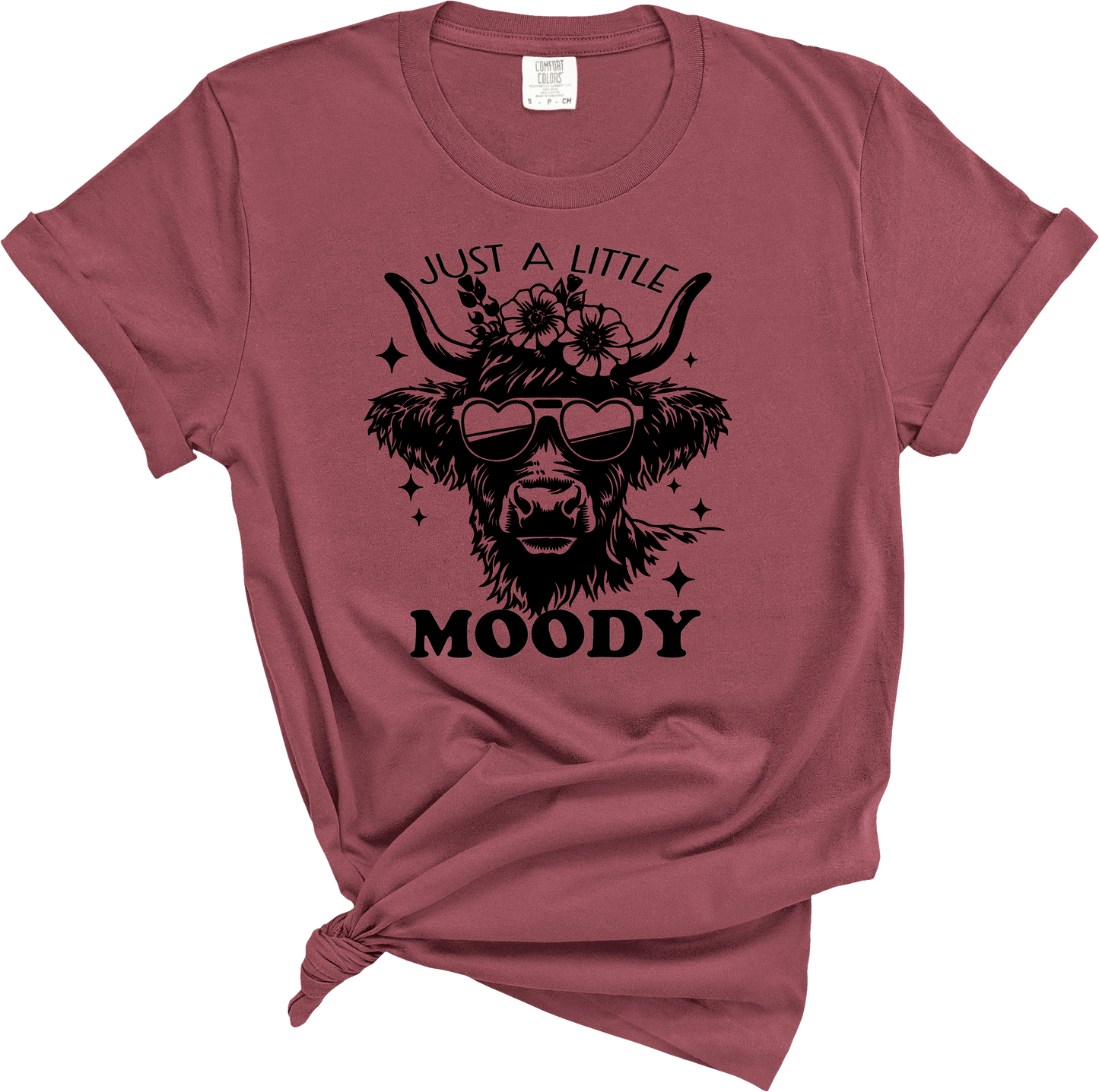 Just a little MOODY t-shirt